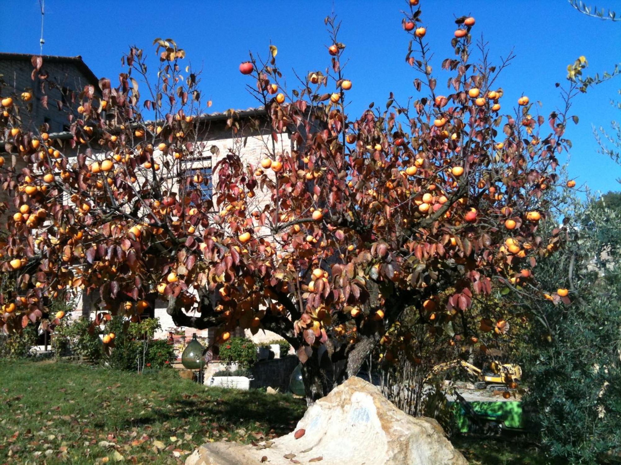 Podere Fontecastello Montepulciano Exterior photo